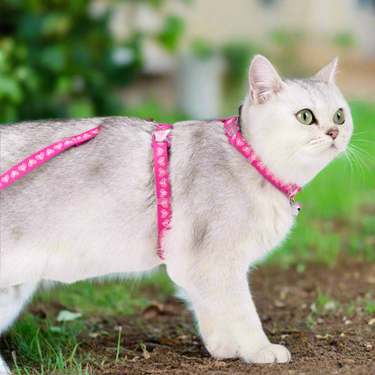 Escape-Proof H-Shape Cat & Puppy Harness with Leash Set – Secure & Comfortable! - Pet house