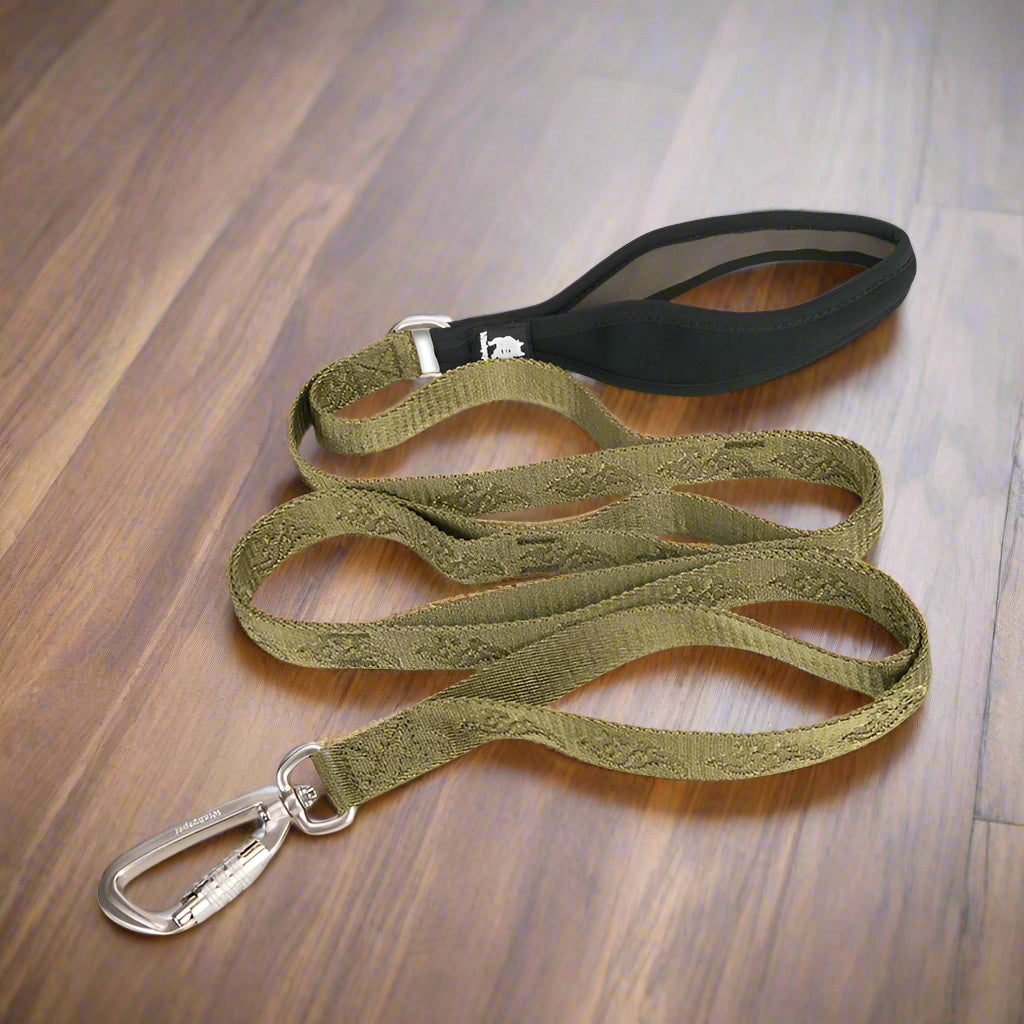 Heavy-Duty Nylon Dog Leash – Secure, Durable & Travel-Ready! - Pet house