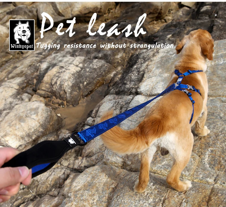 Heavy-Duty Nylon Dog Leash – Secure, Durable & Travel-Ready! - Pet house