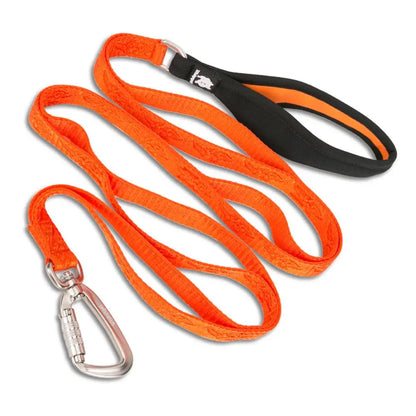 Heavy-Duty Nylon Dog Leash – Secure, Durable & Travel-Ready! - Pet house