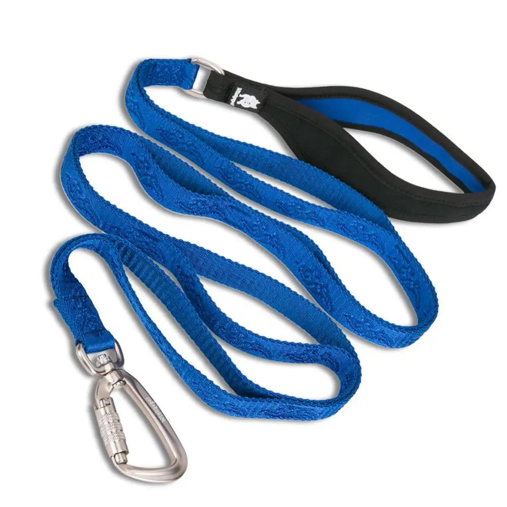 Heavy-Duty Nylon Dog Leash – Secure, Durable & Travel-Ready! - Pet house