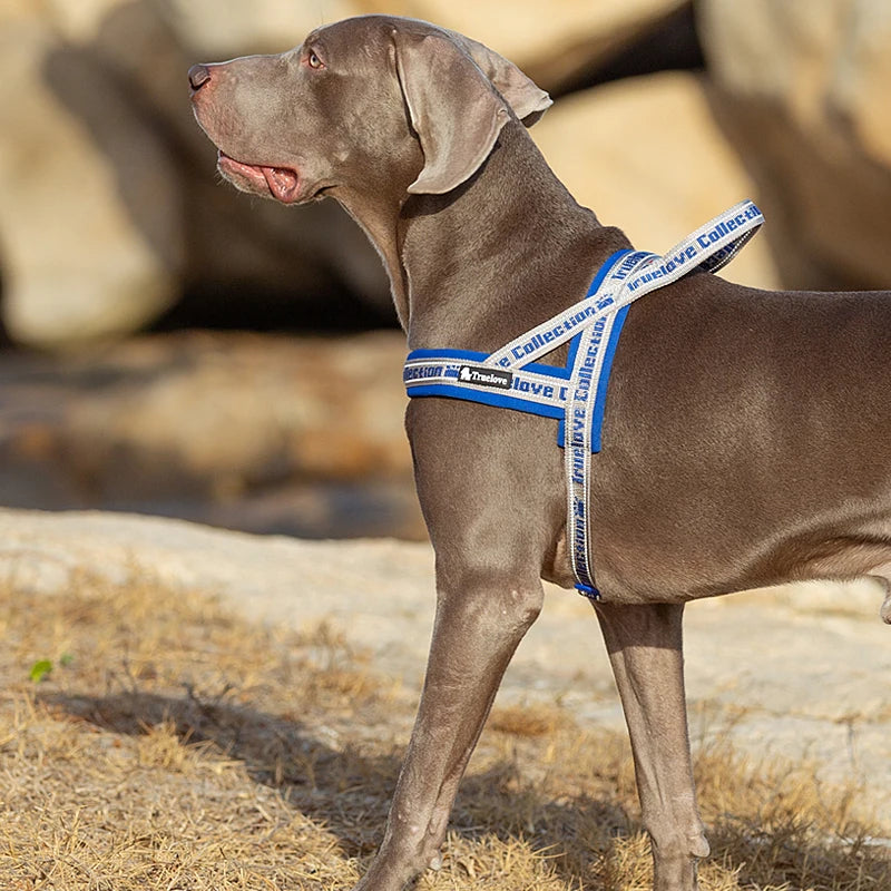 Neoprene-Padded No-Pull Dog Harness – Soft, Secure & Reflective! - Pet house