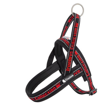 Neoprene-Padded No-Pull Dog Harness – Soft, Secure & Reflective! - Pet house