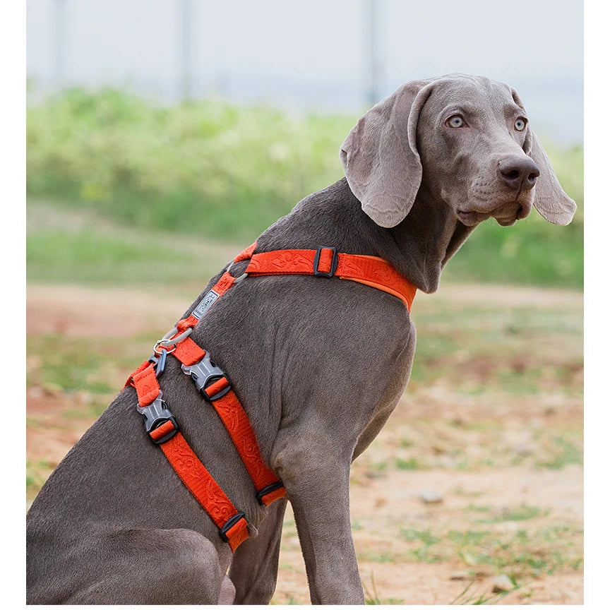 No-Pull Dog Harness – Personalized, Reflective & Breathable! - Pet house