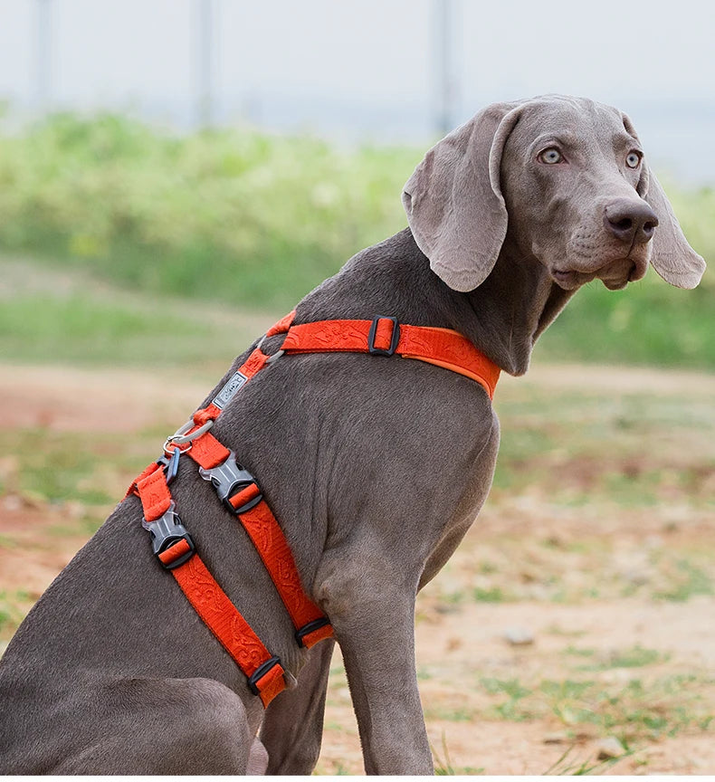 No-Pull Dog Harness – Personalized, Reflective & Breathable! - Pet house