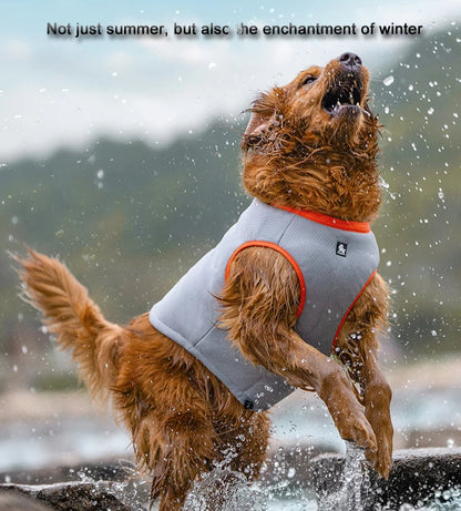 Pet Cooling Vest – Keep Your Dog Cool & Comfortable in Summer! - Pet house