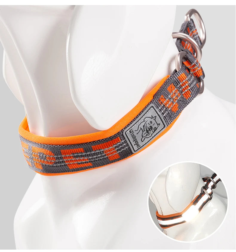 Reflective No-Pull Dog & Cat Collar – Adjustable, Padded & Secure! - Pet house