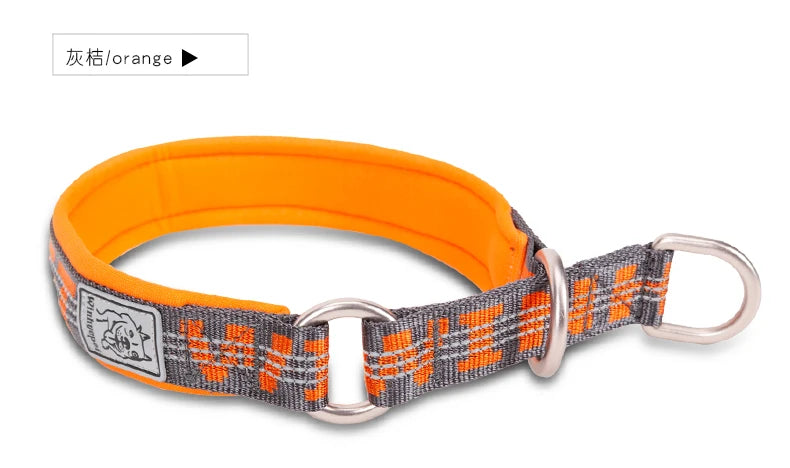 Reflective No-Pull Dog & Cat Collar – Adjustable, Padded & Secure! - Pet house