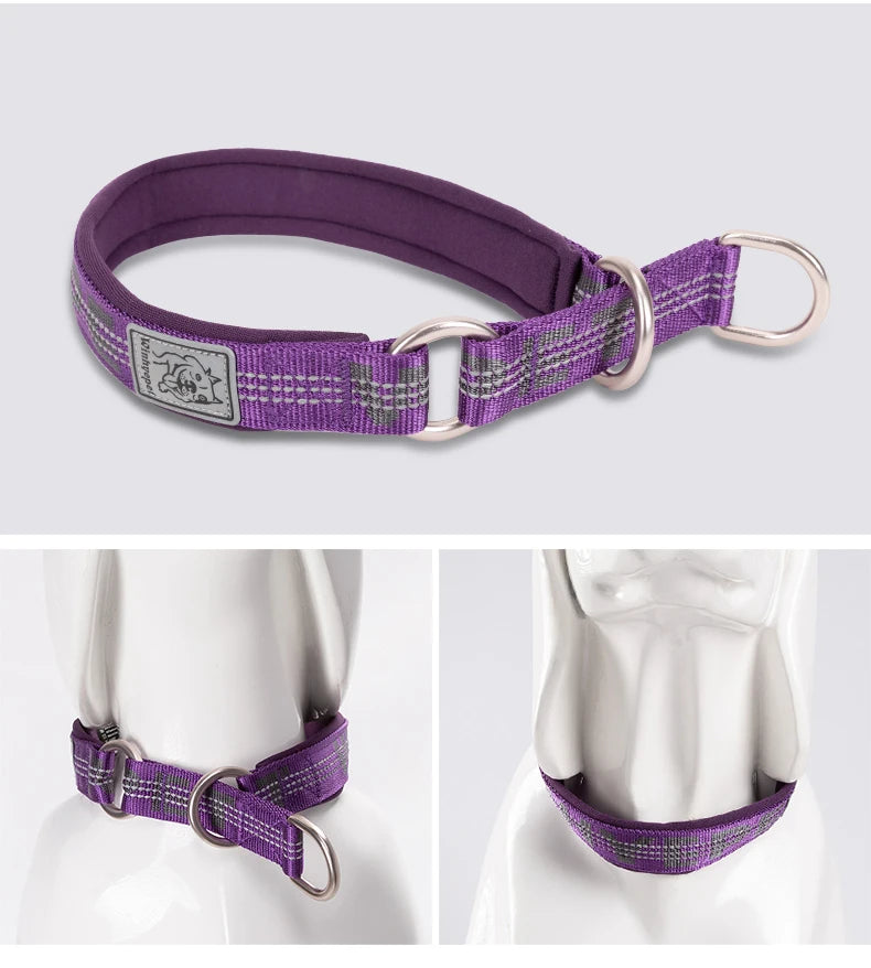 Reflective No-Pull Dog & Cat Collar – Adjustable, Padded & Secure! - Pet house