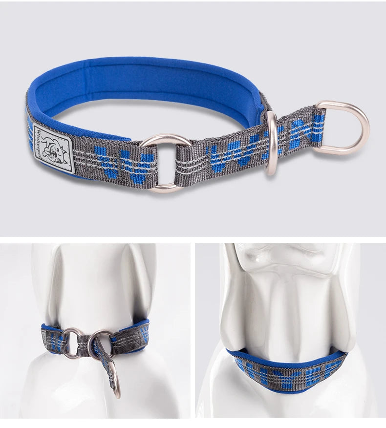 Reflective No-Pull Dog & Cat Collar – Adjustable, Padded & Secure! - Pet house