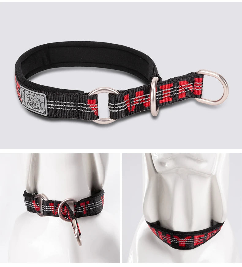 Reflective No-Pull Dog & Cat Collar – Adjustable, Padded & Secure! - Pet house