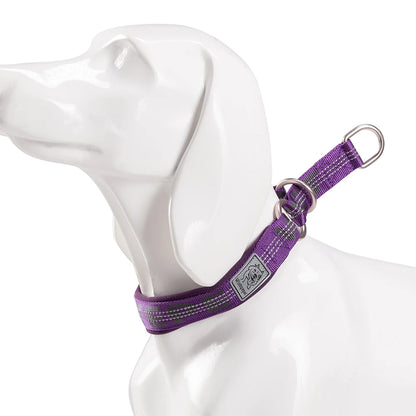 Reflective No-Pull Dog & Cat Collar – Adjustable, Padded & Secure! - Pet house