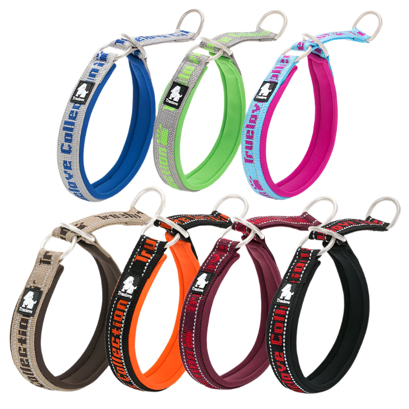 Reflective No-Pull Pet Collar – Adjustable, Padded & Secure! - Pet house