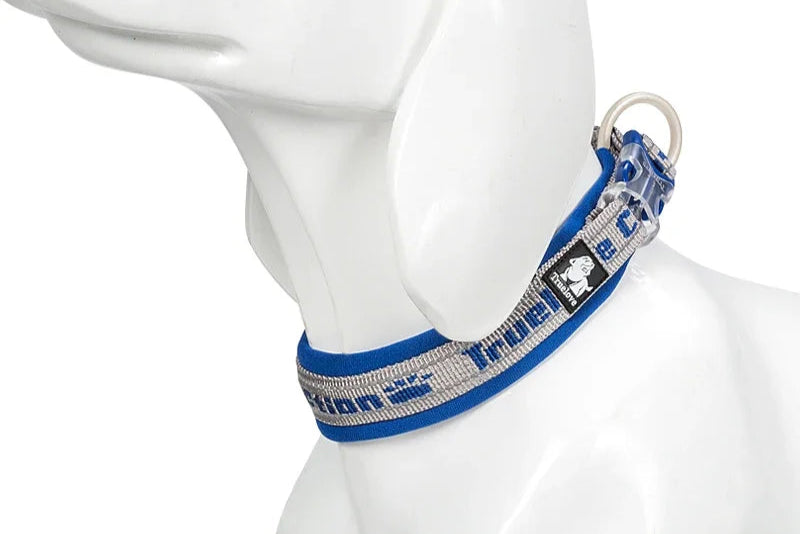 Reflective Nylon Dog & Cat Collar – Durable, Adjustable & Secure! - Pet house