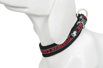 Reflective Nylon Dog & Cat Collar – Durable, Adjustable & Secure! - Pet house