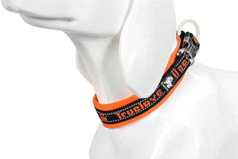 Reflective Nylon Dog & Cat Collar – Durable, Adjustable & Secure! - Pet house