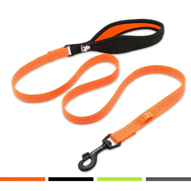 Reflective Nylon Dog , Cat Leash – Durable, Secure & Versatile! - Pet house