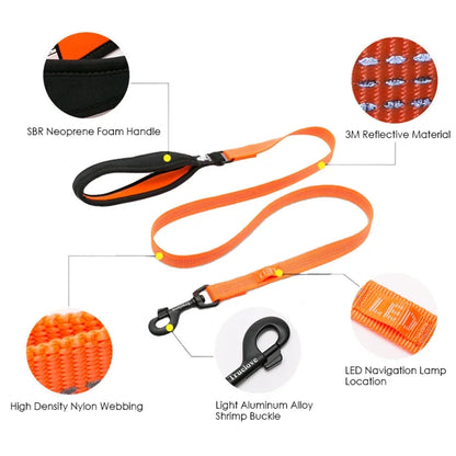 Reflective Nylon Dog , Cat Leash – Durable, Secure & Versatile! - Pet house