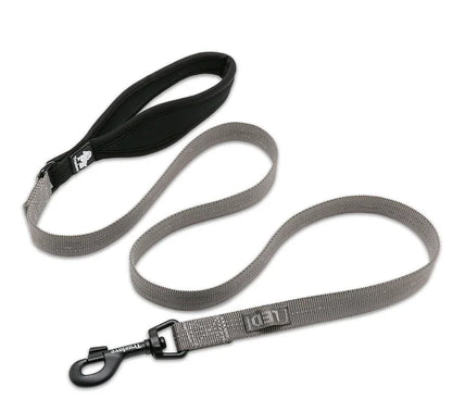 Reflective Nylon Dog , Cat Leash – Durable, Secure & Versatile! - Pet house