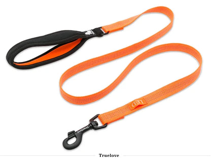 Reflective Nylon Dog , Cat Leash – Durable, Secure & Versatile! - Pet house