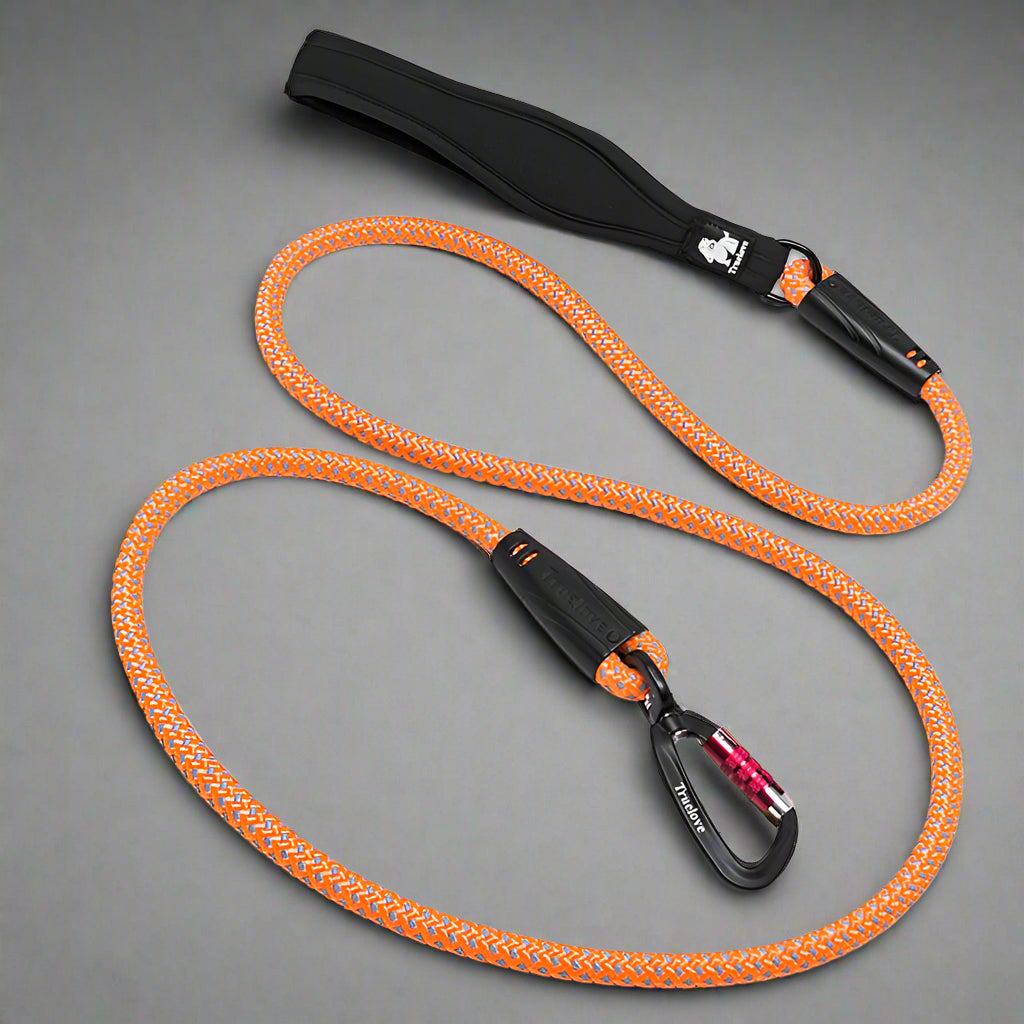 Reflective Nylon Dog Leash – Durable, Secure & Comfortable! - Pet house