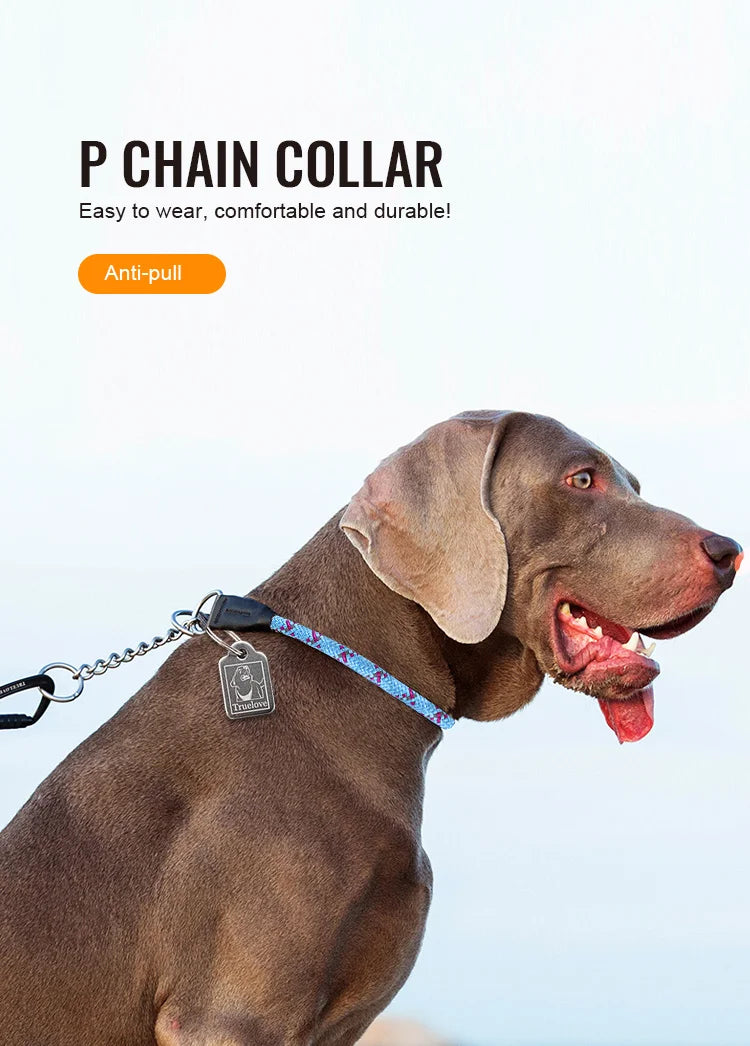 Reflective P-Chain Nylon Dog Collar – Durable, Secure & Pull-Resistant! - Pet house