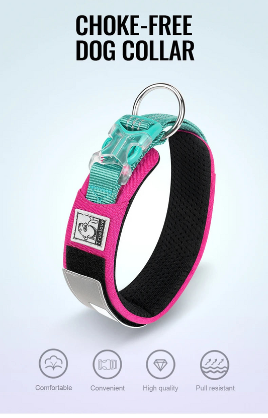 Reflective Personalized Dog Collar – Adjustable, Breathable & Durable! - Pet house