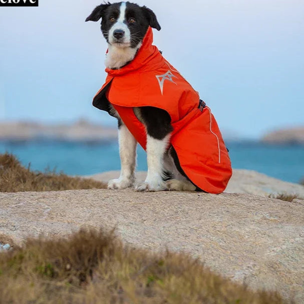 Waterproof & Windproof Winter Dog Coat – Warm, Reflective & Stylish! - Pet house