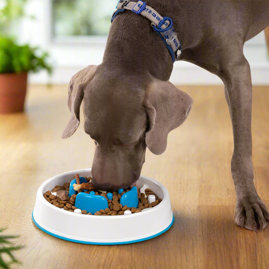 Interactive Slow Feeder Bowl – Anti-Choking, Anti-Slip & Bloat-Prevention! - Pet house