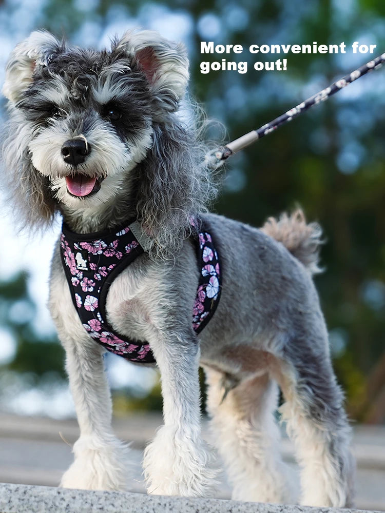 Floral Mesh Pet Harness & Leash Set – Soft, Durable & Reflective! - Pet house