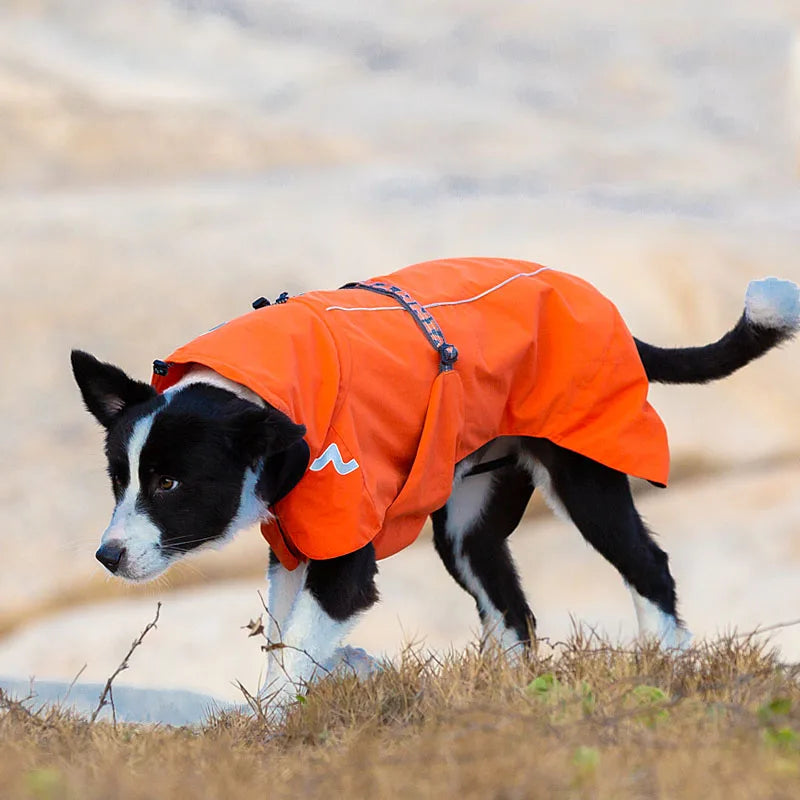 Waterproof Dog Windbreaker – Lightweight, Stylish & Protective! - Pet house