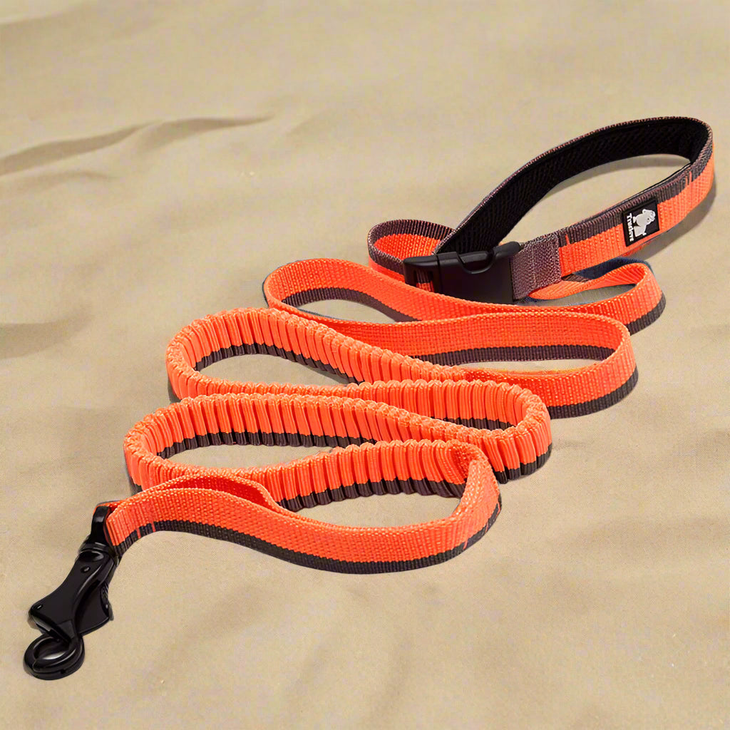 Hands-Free Bungee Dog Leash – Adjustable, Shock-Absorbing & Secure! - Pet house