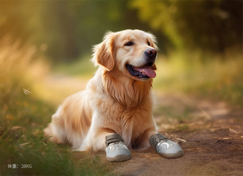 Breathable Dog Shoes – Flexible, Protective & Comfortable! - Pet house