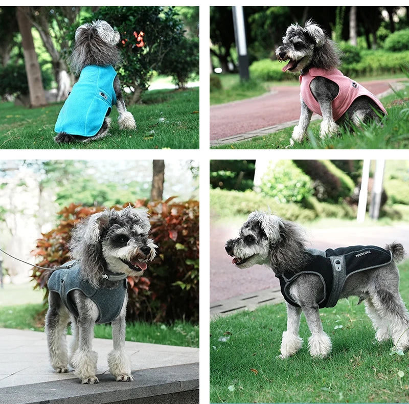 Anti-Bacterial & Warm Dog Jacket – Cozy, Hygienic & Adjustable! - Pet house