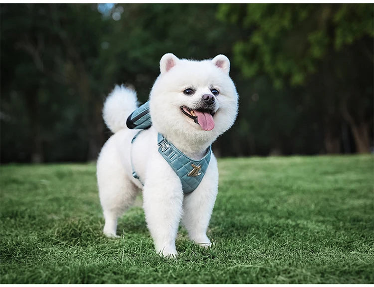 Eco-Friendly All-in-One Pet Harness Set – Sustainable & Comfortable! - Pet house