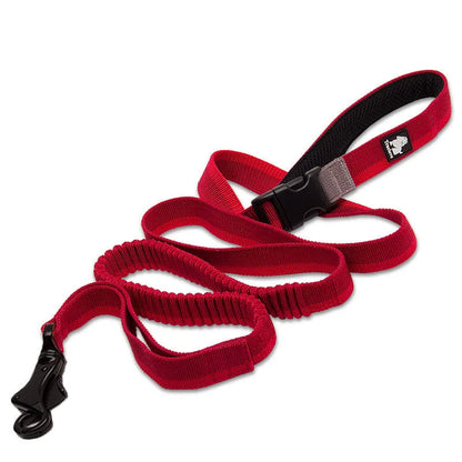 Hands-Free Bungee Dog Leash – Adjustable, Shock-Absorbing & Secure! - Pet house