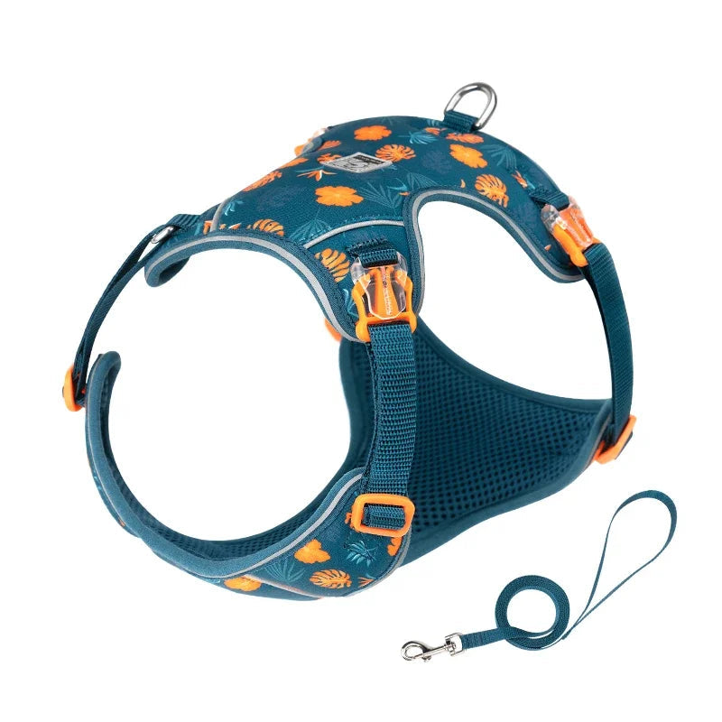 Lightweight Adjustable Pet Harness & Leash Set – Quick-Release & Secure! - Pet house