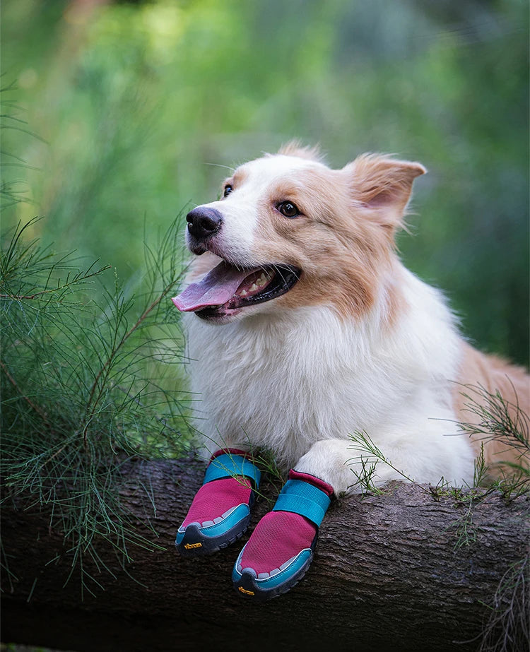 Durable Dog Shoes with Vibram Sole – Anti-Slip, Reflective & Comfortable! - Pet house