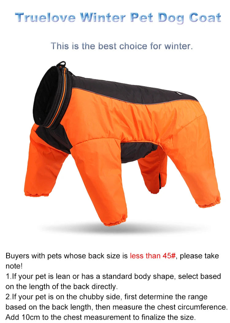 Reversible Winter Dog Coat – Waterproof, Warm & Reflective! - Pet house