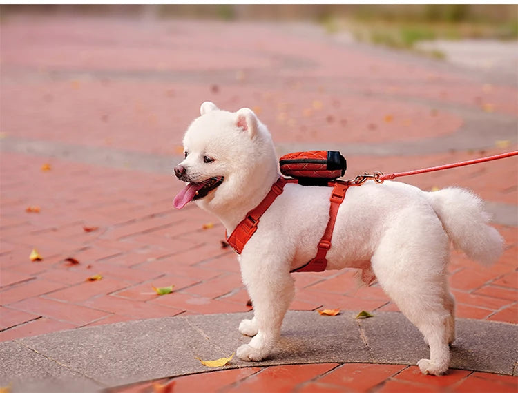 Eco-Friendly All-in-One Pet Harness Set – Sustainable & Comfortable! - Pet house