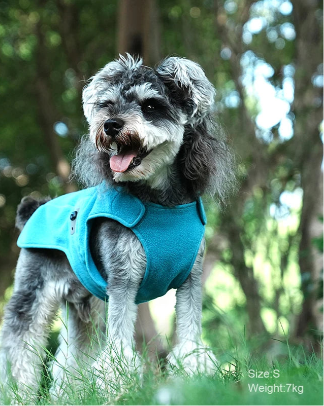 Anti-Bacterial & Warm Dog Jacket – Cozy, Hygienic & Adjustable! - Pet house