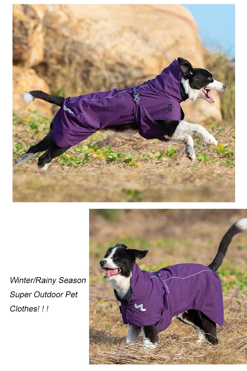 Waterproof Dog Windbreaker – Lightweight, Stylish & Protective! - Pet house