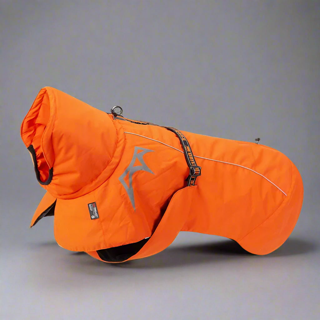 Waterproof & Windproof Winter Dog Coat – Warm, Reflective & Stylish! - Pet house