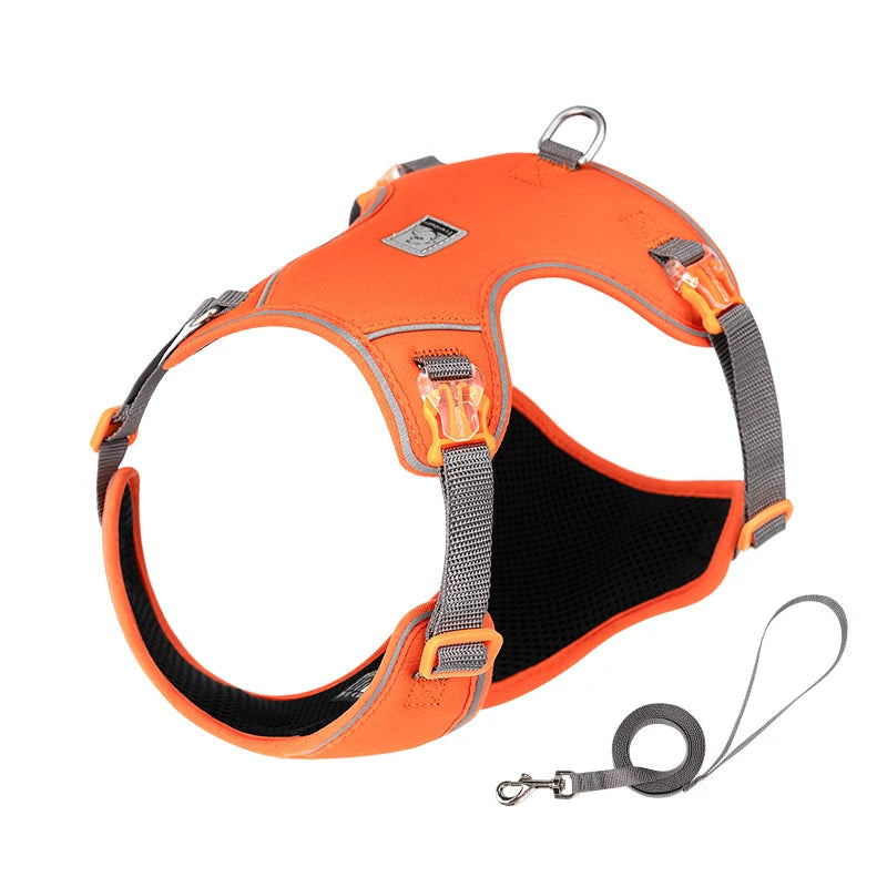 Ultra-Lightweight Breathable Pet Harness & Leash Set – Reflective & Secure! - Pet house