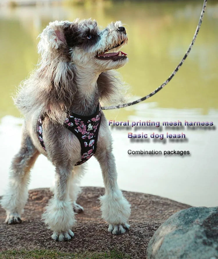 Floral Mesh Pet Harness & Leash Set – Soft, Durable & Reflective! - Pet house