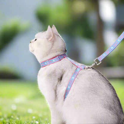 Escape-Proof H-Shape Cat & Puppy Harness with Leash Set – Secure & Comfortable! - Pet house