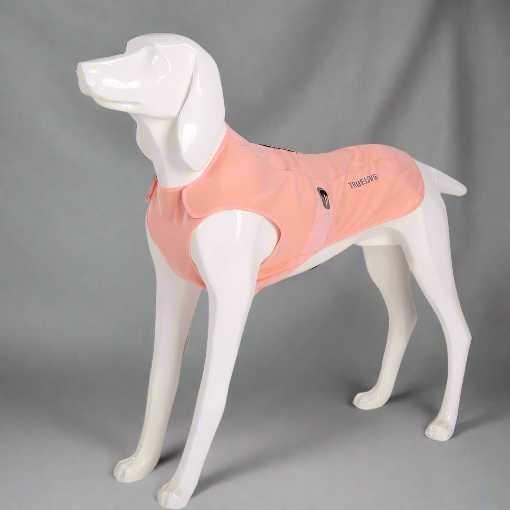 Anti-Bacterial Dog Coat – Soft, Breathable & Reflective! - Pet house