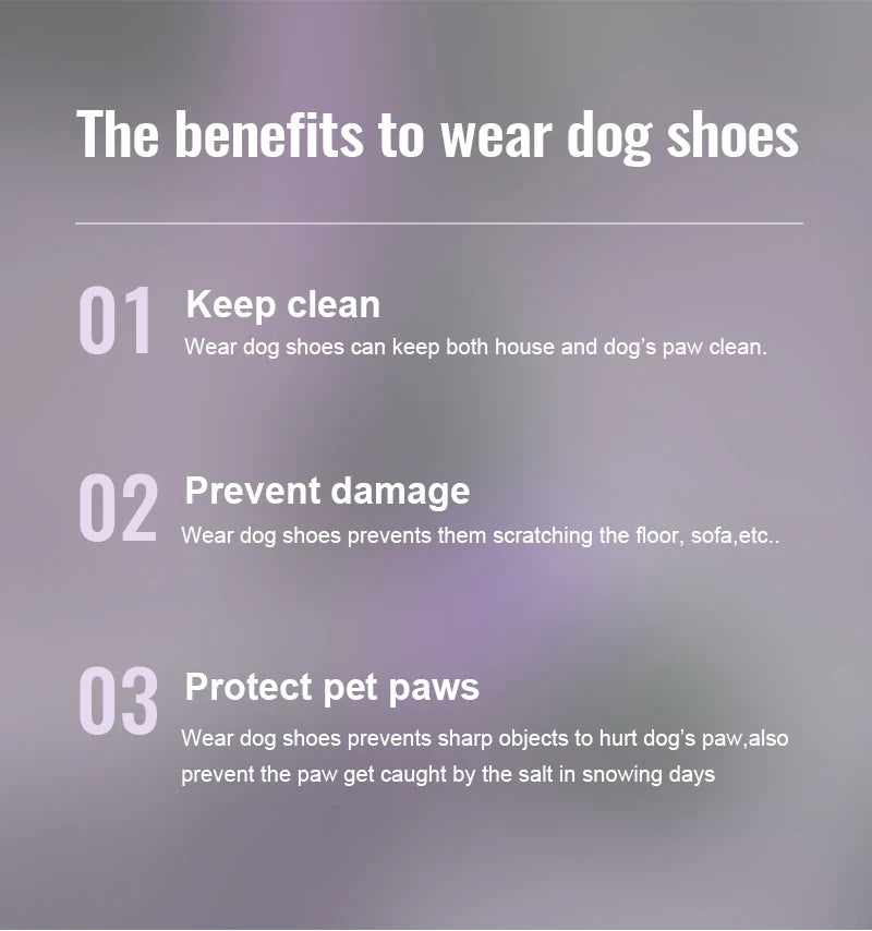 Breathable Dog Shoes – Flexible, Protective & Comfortable! - Pet house