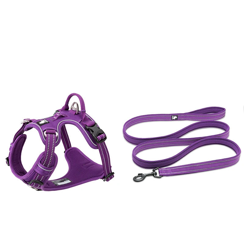 No-Pull Reflective Dog Harness & Leash Set – Adjustable & Secure! - Pet house