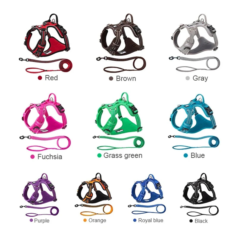 No-Pull Reflective Dog Harness & Leash Set – Adjustable & Secure! - Pet house